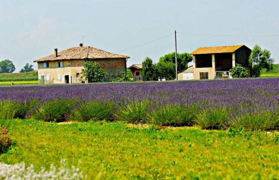 Il Murello Fiorentina Zewnętrze zdjęcie